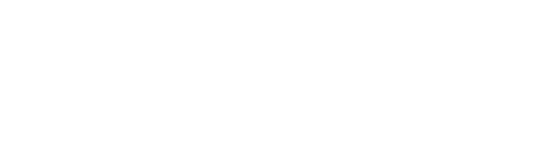 Google Store